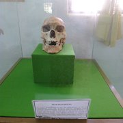 Baja2011 713 : Baja2011